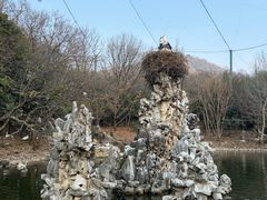 -合肥野生动物园