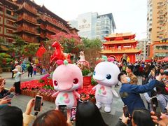 -越秀西湖花市(广州城市广场花卉店)
