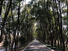 -同里国家湿地公园