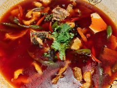 -陈麻婆豆腐(旗舰店)