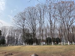 -后襄河公园
