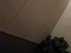 -上足·影院足道·SPA(红岭店)