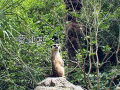 -上海野生动物园