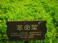 -亚龙湾红树林度假酒店御粤阁