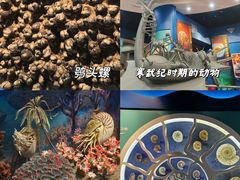 -国家自然博物馆