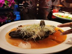 -三号黄浦会Canton Table