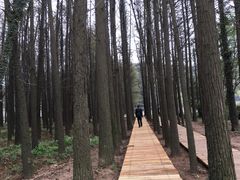 -采石矶景区