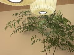 -南堂小馆·川菜馆(德商国际店)