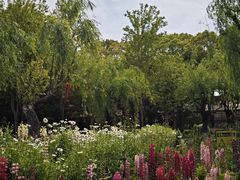 -上海鲜花港