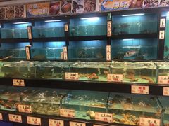 水产区-万山楼海鲜酒家·二十三年老字号