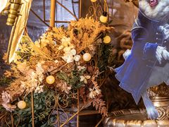 -艾拉私人定制婚礼