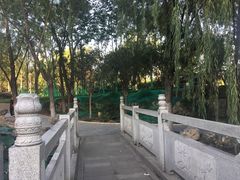 -莲湖公园