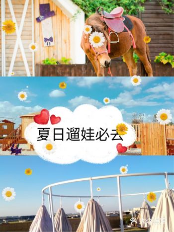 这个夏天一起出门玩溜娃吧！