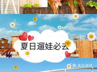 这个夏天一起出门玩溜娃吧！