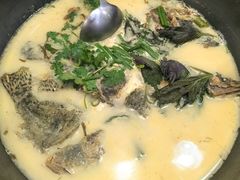 -岩泊渡桂鱼楼活鱼馆