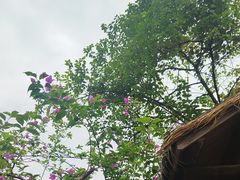 -天赐温泉