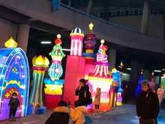 -沈阳奥体冰雪嘉年华