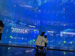 -成都浩海立方海洋公园