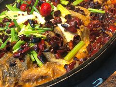 -老板恋上鱼(恒隆广场店)