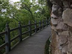 -塔云山