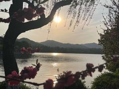 -西湖外事游船(花港观鱼码头)