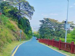 -黄埔油麻山森林公园