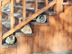 -崂山九水游览区