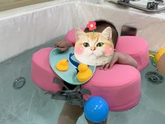 -哲学苑亲子园·早教婴儿托育·婴儿游泳(颐龙湾店)