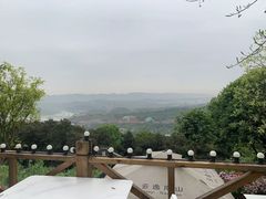 -南山植物园