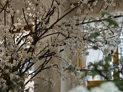 -知物癖(牛王庙店)
