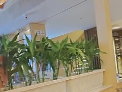 -锅老头铁锅炖•大锅蒸汽海鲜(韩乐坊店)