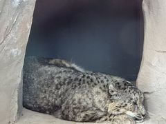 -青藏高原野生动物园