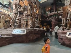 -安徽省地质博物馆