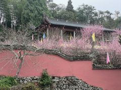 -雪峰寺