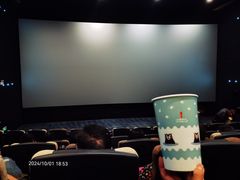 -深影国际影城(学院南路店CGS中国巨幕店)