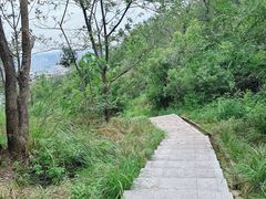 -桃花岭景区