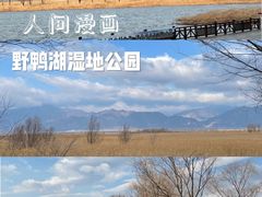 -野鸭湖国家湿地公园