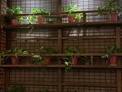 -真枪会射击俱乐部(河西中央公园店)