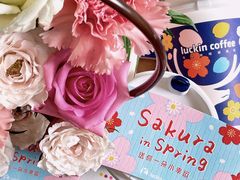 -瑞幸咖啡(艺树家工场店)