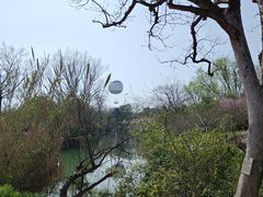 -西溪国家湿地公园