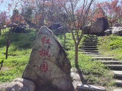 -广州市帽峰山景区