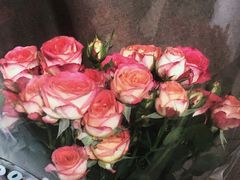 -循礼门鲜花花市(武汉循礼门店)