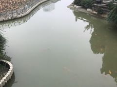 -龙潭水乡