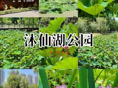 -沐仙湖湿地公园