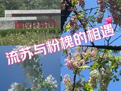 -西海子公园