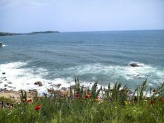 -燕儿岛山公园