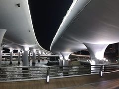 -演武大桥观景平台