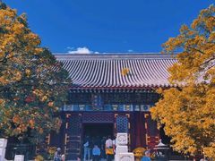 -香山公园