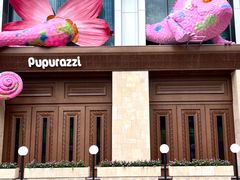 -帕帕拉兹宠物(亚洲旗舰店)