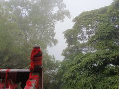 -綦江古剑山